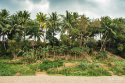 Luang Prabang, Northern Laos