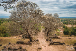 Landscape, Southern Laos