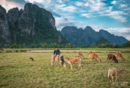 Landscape, Vang Vieng