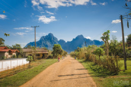 Rice fields, Vang Vieng