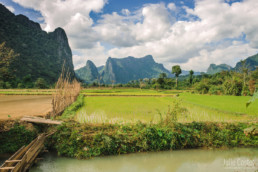 Rice fields, Vang Vieng