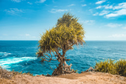 Nusa Penida, Bali