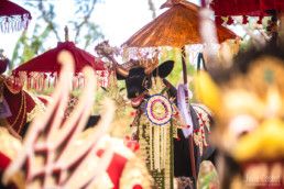 Ceremony in Bali