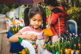 Lai Heua Fai, Light Festival in Luang Prabang