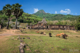 Wat Phou Temple