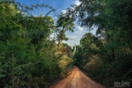 Phou Khao Khouay National Park, Laos