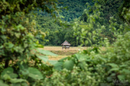 Northern Laos